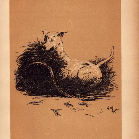 Cecil Aldin Antique Lovable Scamp Of a Terrier illustration A Dog Day -14.