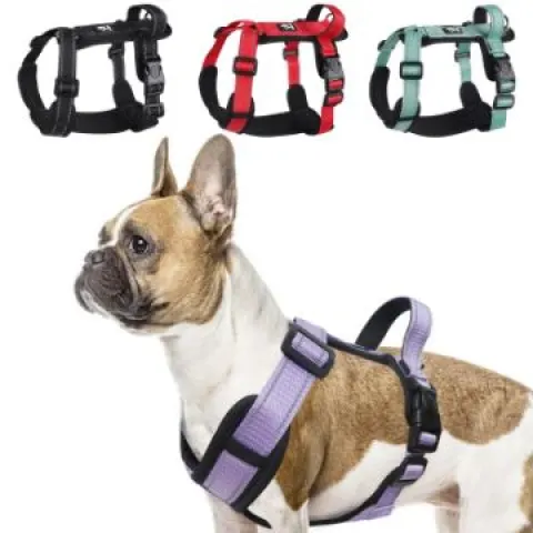 6 x Small Dog Harness