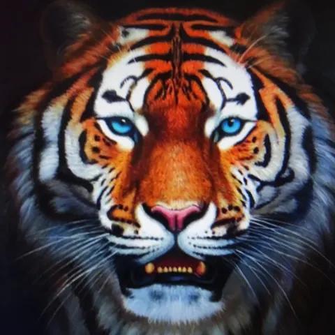 Tigre/Oil painting