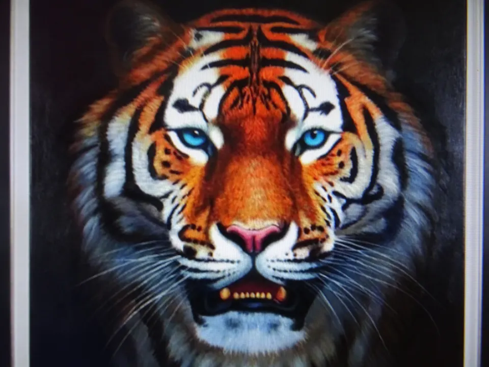 Tigre/Oil painting