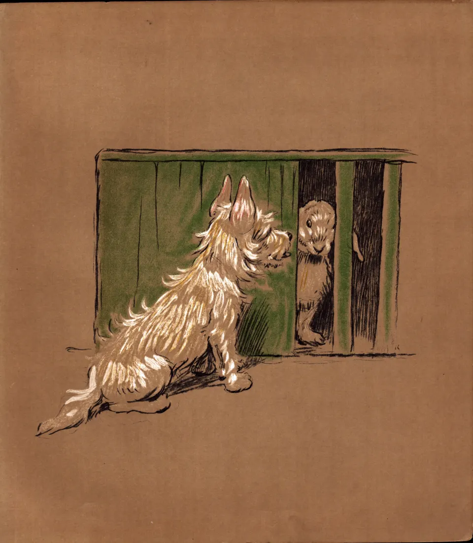 Cecil Aldin Original Antique Illustration Mac a White West Highland Terrier-21.