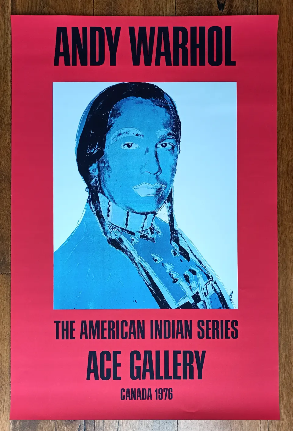 Andy Warhol, The American Indian series (Red) 1981 (#0428)