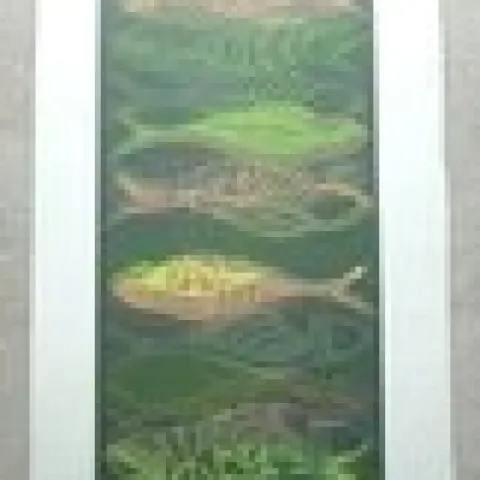 Kate Owens (1980) 'Untitled', Large Screen Print, Naturalistic, Vibrant, Editioned, Signed, 2009