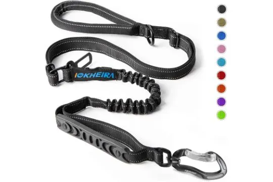 10 x Bungee Dog Leash/Buckle L13c
