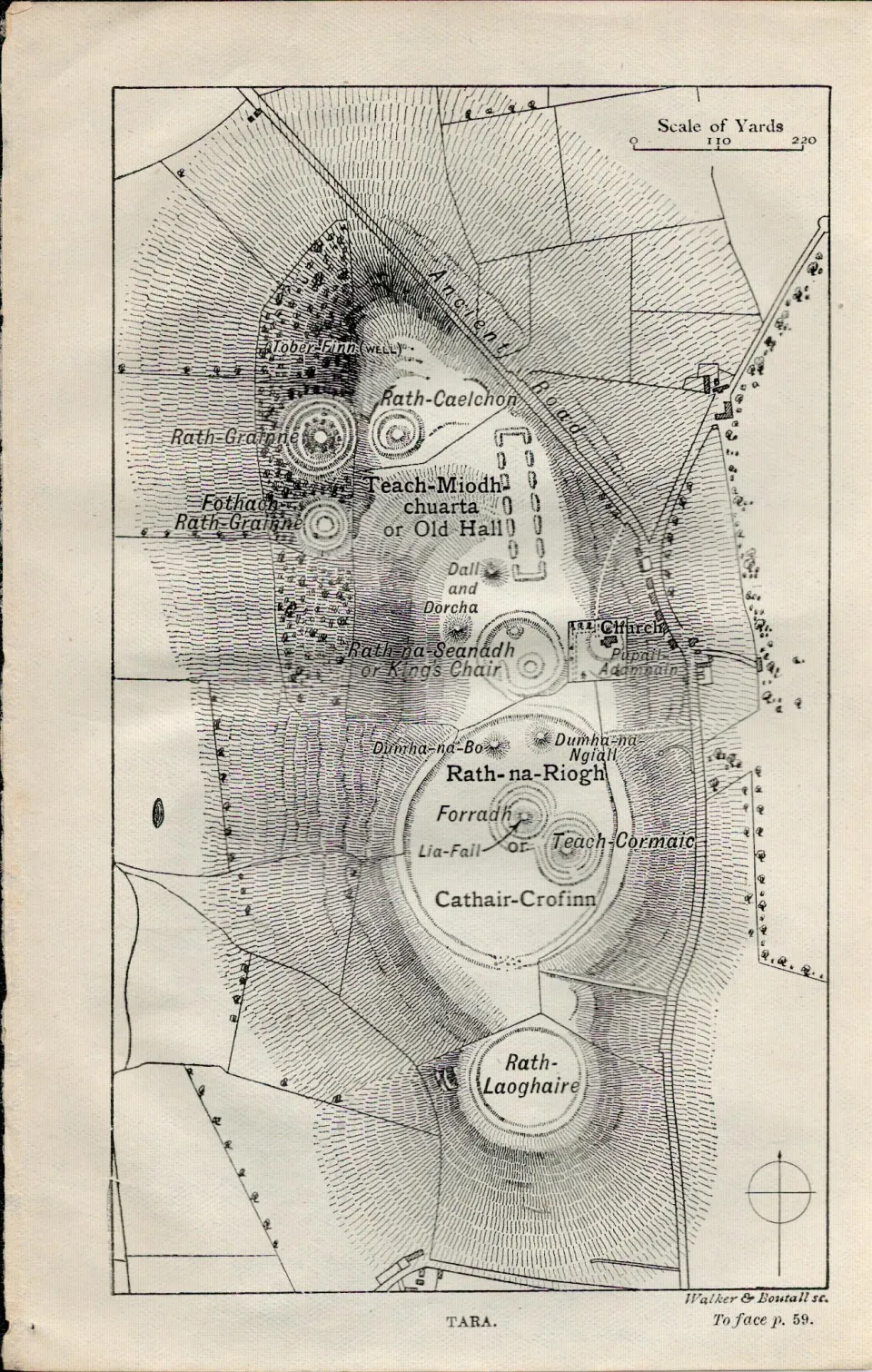 Hill of Tara  Rath-Laoghaire Detailed Plan  Antique Map