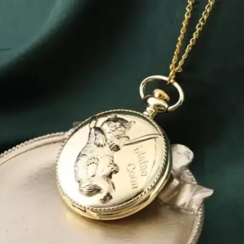 NEW!! STRADA Japanese Movement Maine Coon Pattern Pocket Watch