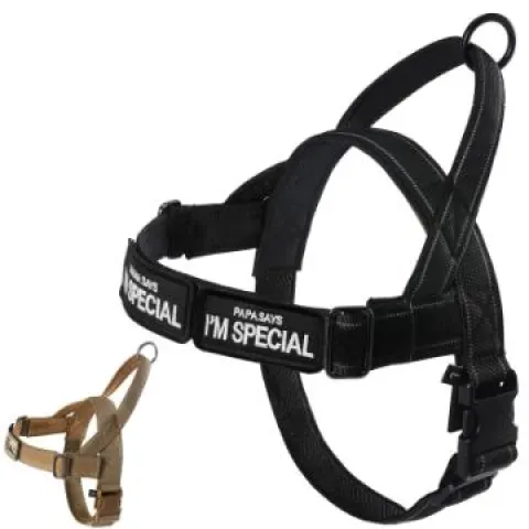 13 x Various Military Dog Collar/Harness Heavy Duty