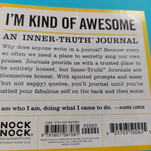 "Knock Knock" Journals RRP £12.99 each.  Box of 12