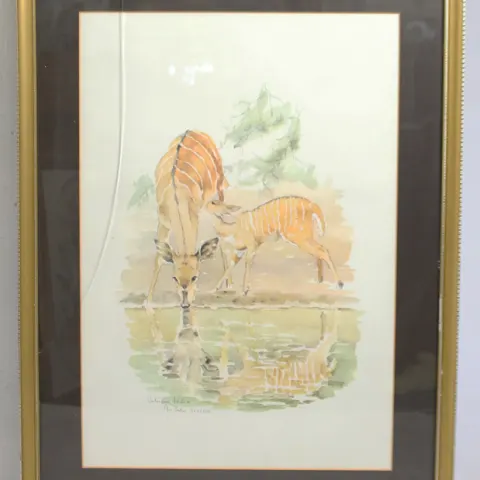 Patricia Wiles Limited Edition Animal Print Set in Frame