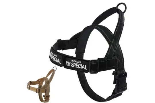 13 x Various Military Dog Collar/Harness Heavy Duty
