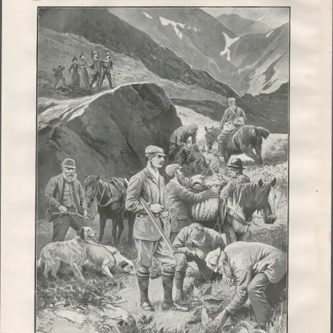 The Glorious Twelfth Grouse in Scotland 1901 Antique.