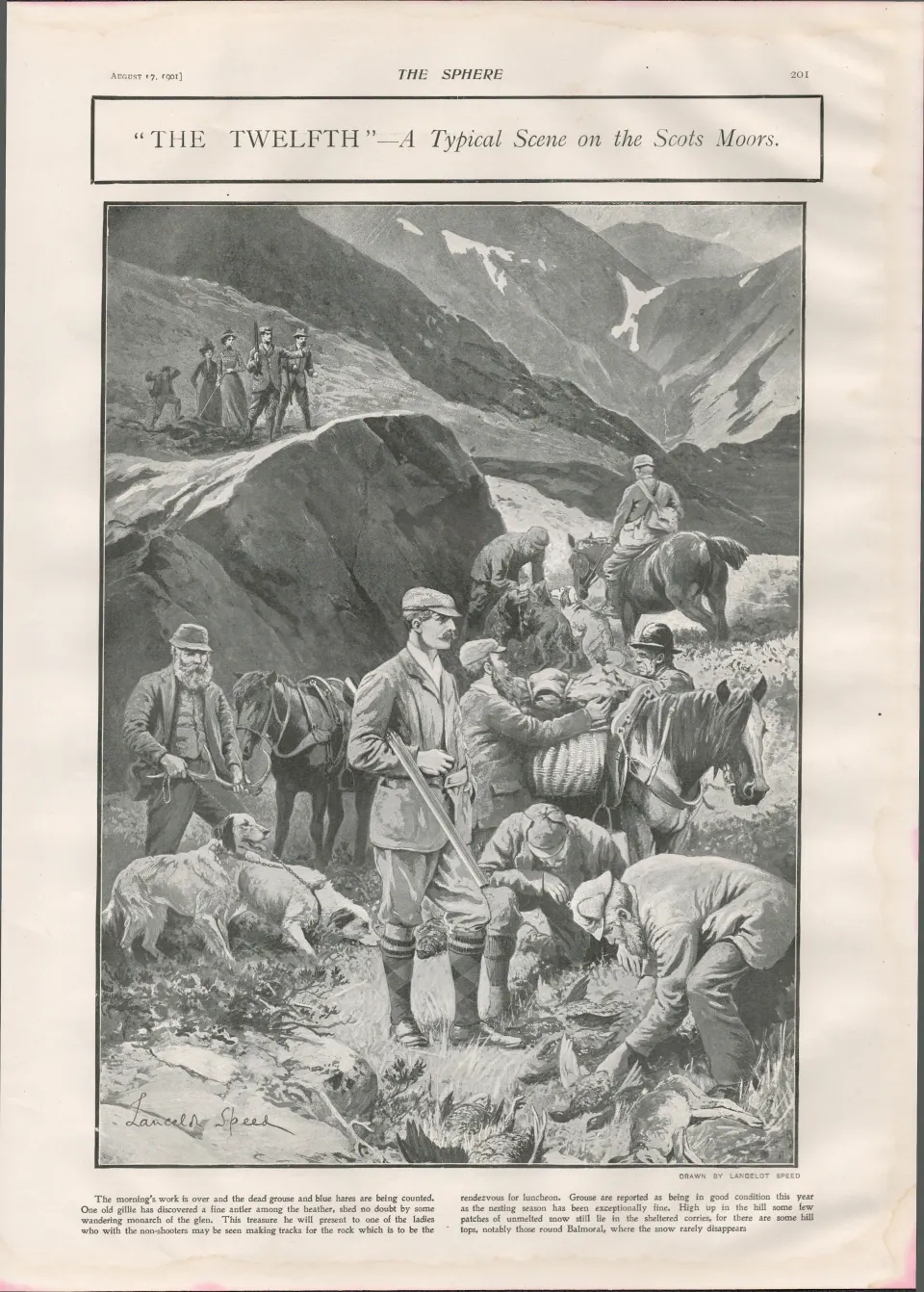 The Glorious Twelfth Grouse in Scotland 1901 Antique.