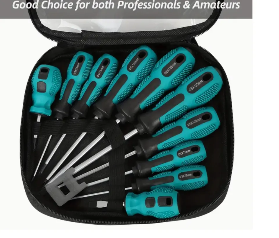 11-Piece Magnetic Screwdriver Set With Magnetizer & Storage Bag