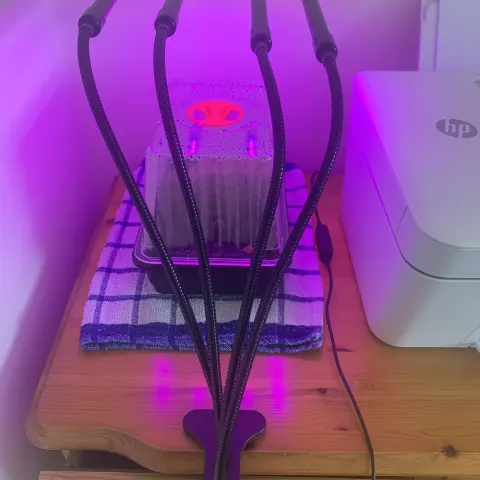 BRAND NEW FUNPA LED  GROW LIght