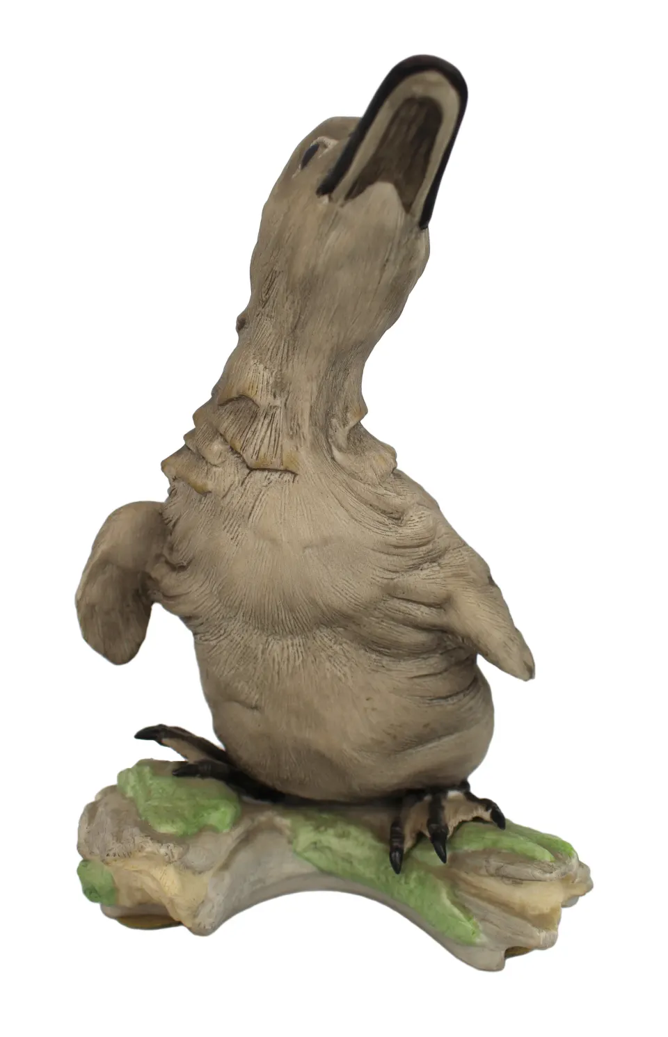 Bohem Cygnet Olor Standing