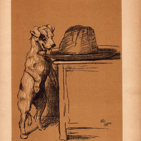 Cecil Aldin Antique Lovable Scamp Of a Terrier illustration A Dog Day -2.