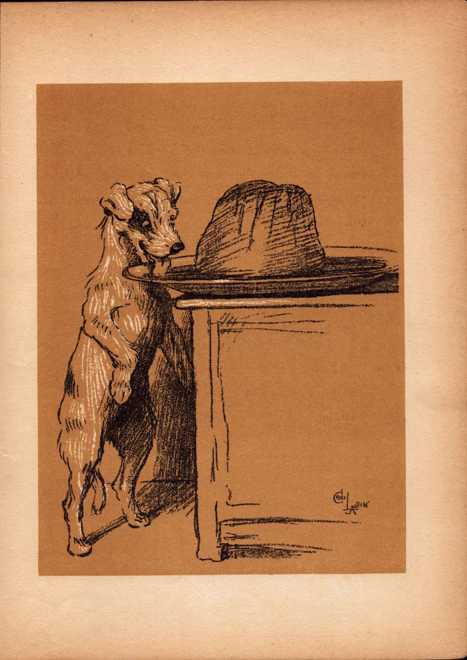 Cecil Aldin Antique Lovable Scamp Of a Terrier illustration A Dog Day -2.