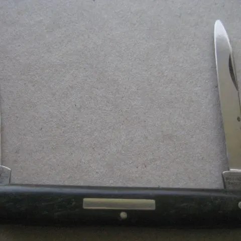 Antique Horn Hafted Twin Bladed Penknife, c1900