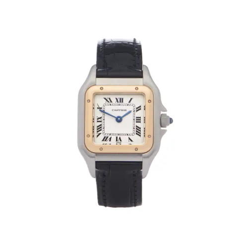 Cartier Panthère 18K Yellow Gold & Stainless Steel  Watch W250295D or 1120