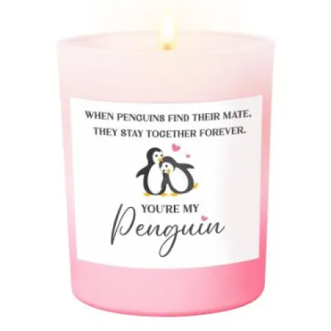 5 x Penguin Anniversary Candle Gift for Couples L6b