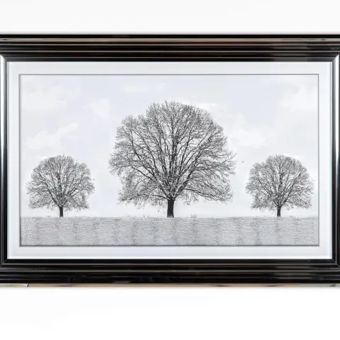 Framed Tree Picture