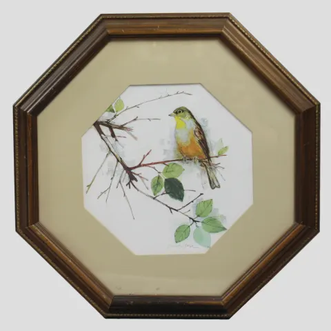 Bird Print Set in Octagonal Frame