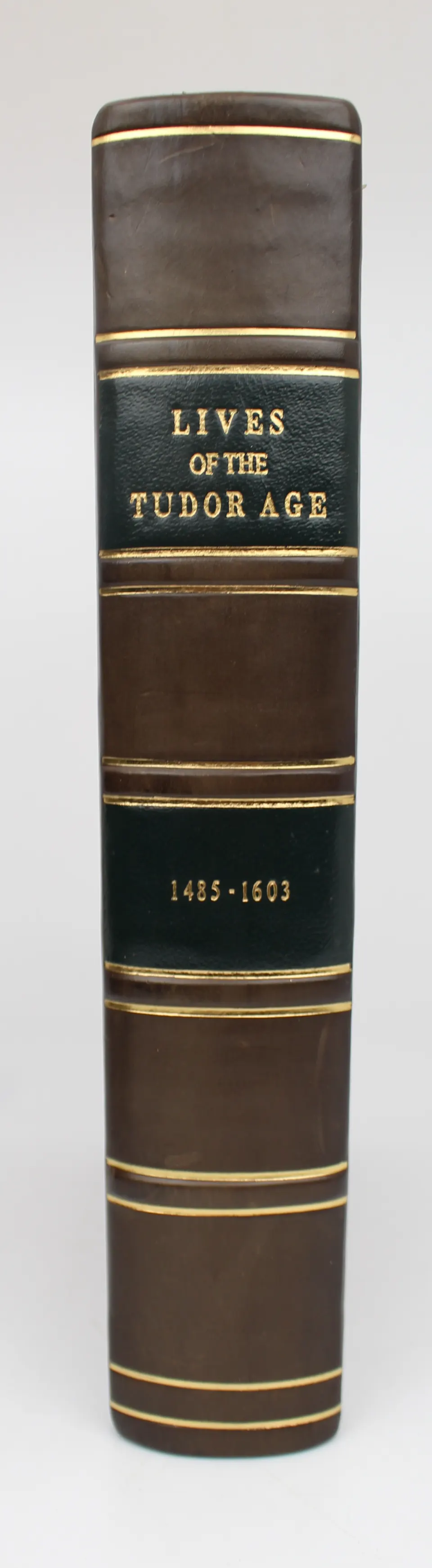 Lives of the Tudor Age, 1485–1603 by Ann Hoffmann