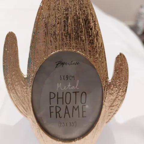 Cactus photo frames