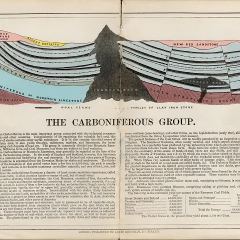 James Reynolds Antique Geology The Carboniferous Group Print.