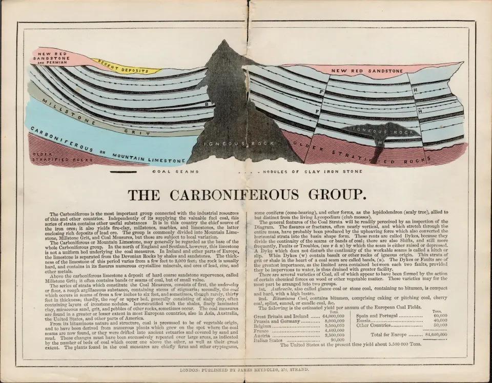 James Reynolds Antique Geology The Carboniferous Group Print.