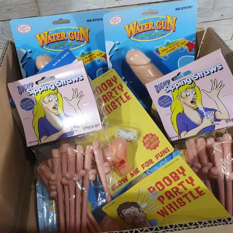 Box of Hen Night Party Items. Pack of 10 items, include Willy Straws, Willy Water Pistols.  Rrp £49