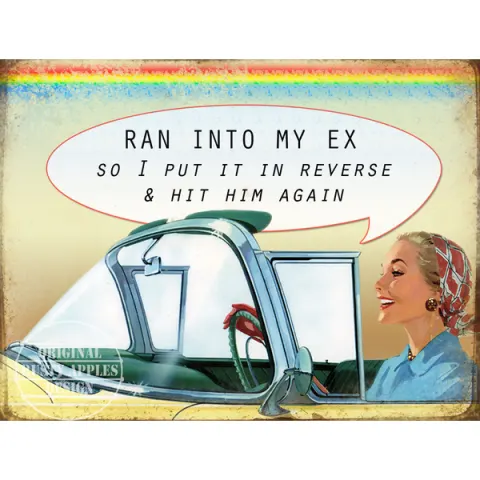 Ran Into My Ex  Funny Large Metal Wall Art.