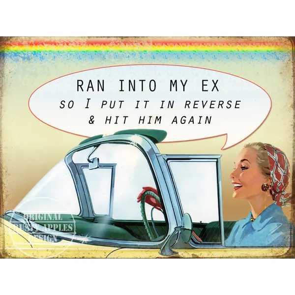 Ran Into My Ex  Funny Large Metal Wall Art.