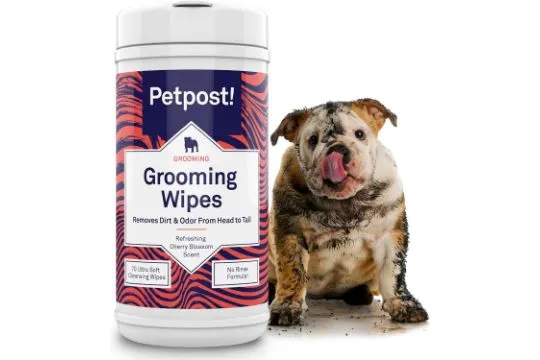 4 x 70 Pack Grooming Wipes for Dogs - Large, L13c sku-3899