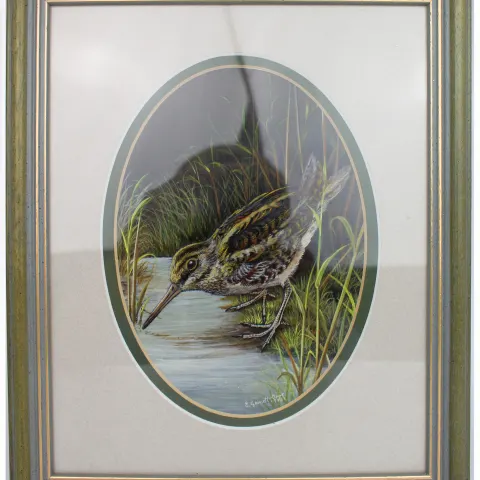 Painting of Jack Snipe by Liz Garnett-Orme (British, Contemporary)