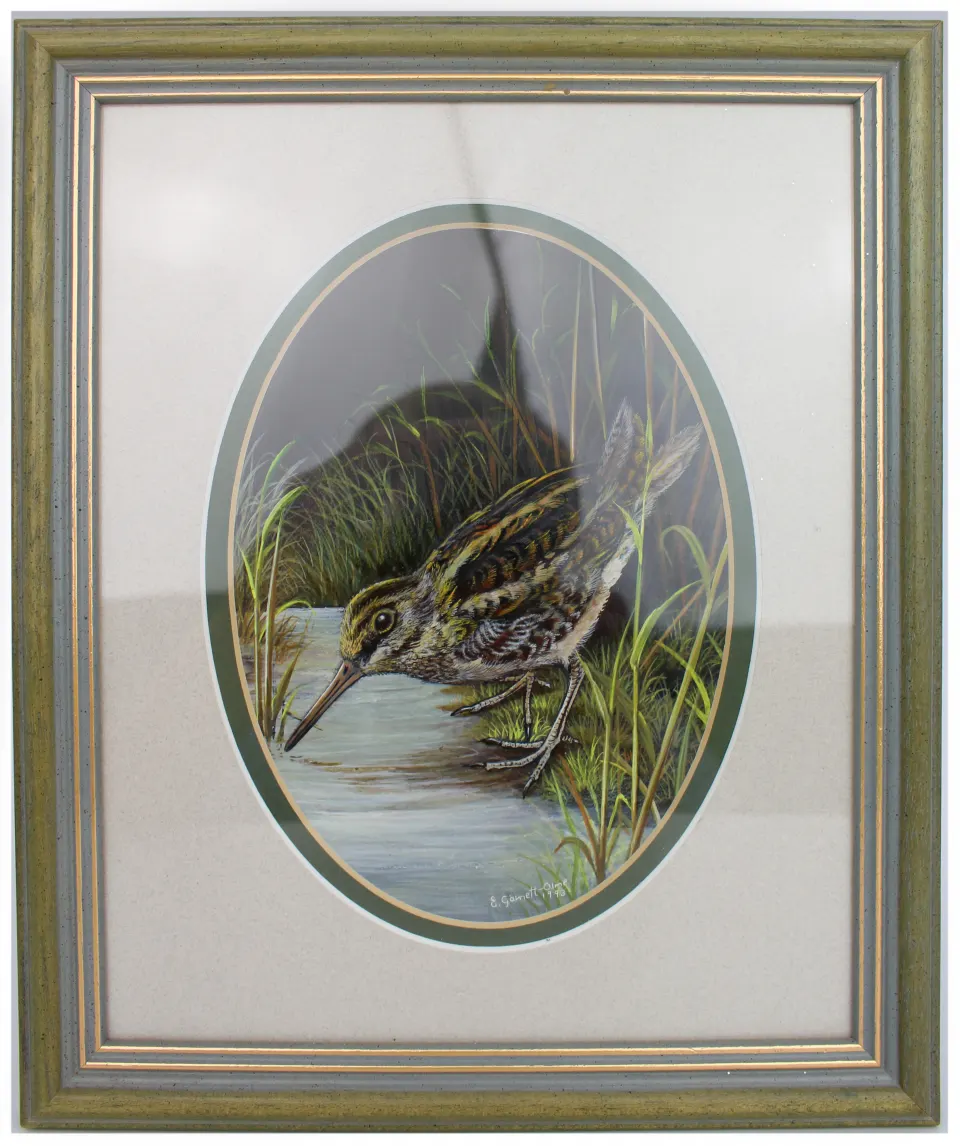 Painting of Jack Snipe by Liz Garnett-Orme (British, Contemporary)