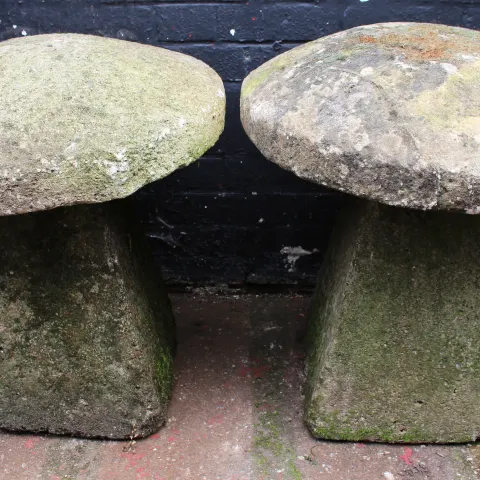 Pair of Old Garden Staddlestones