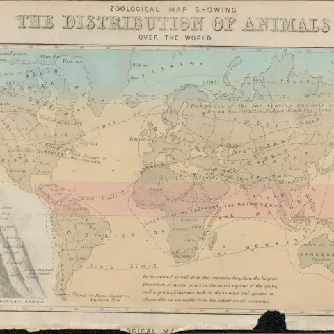 Rare James Reynolds Antique Distribution of Animals Over the World.