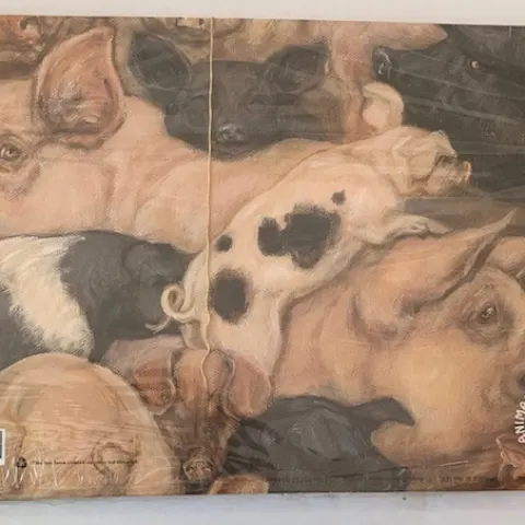 8 x Packs Of 12 x Pig A4 Wallets
