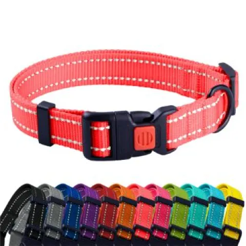 48 x Assorted Pet Collars Total RRP £819.14 L28a