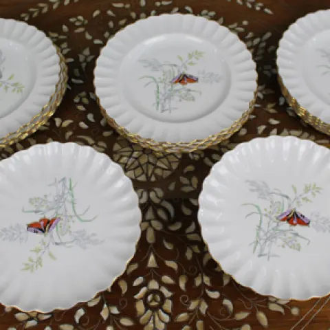 14 Piece Spode Butterfly Pattern Dessert Service 1954