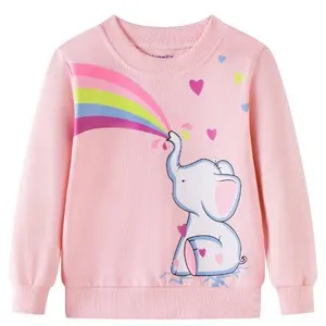 Girls Clothes 5-6 Years Rainbow Jumpers L3b sku-4027