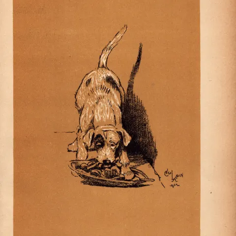 Cecil Aldin Antique Lovable Scamp Of a Terrier illustration A Dog Day -5.
