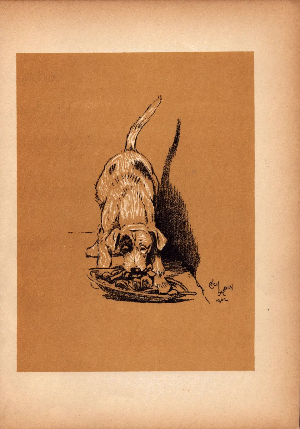 Cecil Aldin Antique Lovable Scamp Of a Terrier illustration A Dog Day -5.