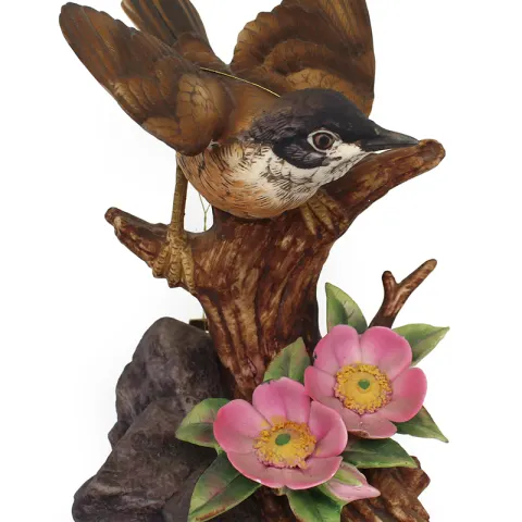 Porcelain Whitethroat by Kowa