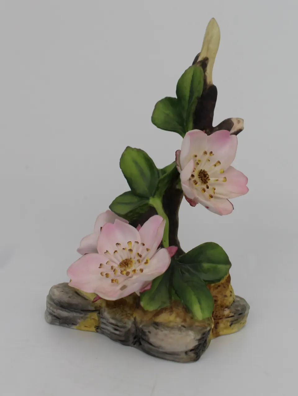 Royal Worcester Wild Rose Garden Flowers