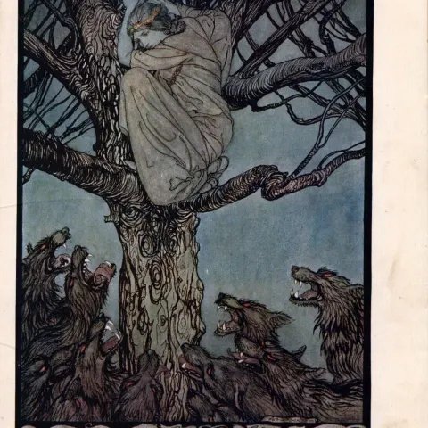 Straining & Snarling Wolves 1924 Irish Fairy Tales Arthur Rackham.