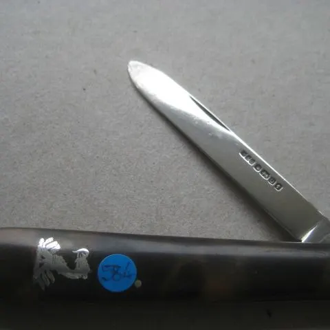 Victorian Silver Bladed Folding Fruit Knife