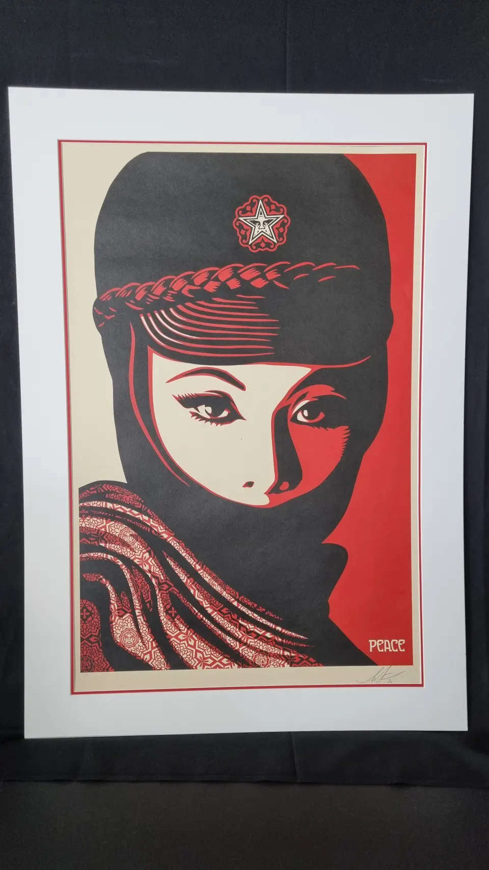 Shepard Fairey Signed Lithograph.