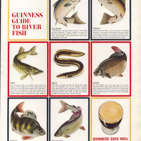 Original 58-Year-Old 1966 Guinness Guide To River Fish Print GE 3980 #-33.
